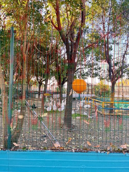 M6在哪里玩好玩又有趣