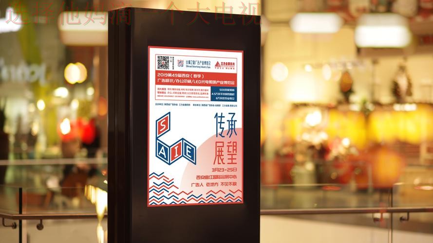 环球体育最新官网入口