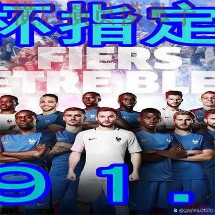 世界杯买球网站解析报告：数据分析与实际体验总结 - 世界杯数据